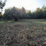 Продажа Участок Гябяля 7
