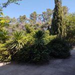 Kirayə (aylıq) 10 otaqlı Bağ evi, Şüvəlan, Xəzər rayonu 10