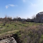 Satılır Torpaq, Saray, Abşeron rayonu 1