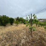 Продажа Участок, Шювалан, Хязяр район 4