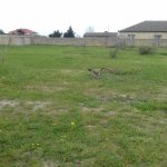 Satılır Torpaq, Buzovna, Xəzər rayonu 4