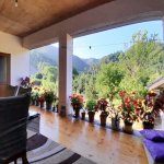 Kirayə (günlük) 4 otaqlı Həyət evi/villa Lerik 5