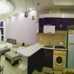 Kirayə (günlük) 2 otaqlı Yeni Tikili, 28 May metrosu, Nəsimi rayonu 3