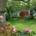 Kirayə (günlük) 2 otaqlı Həyət evi/villa Qax 14