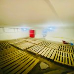 Kirayə (aylıq) Obyekt, Nəriman Nərimanov metrosu, Nərimanov rayonu 5