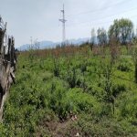 Продажа Участок Хачмаз 38