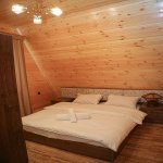 Kirayə (günlük) 3 otaqlı Həyət evi/villa Qəbələ 14