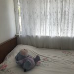 Kirayə (aylıq) 2 otaqlı Köhnə Tikili, 28 May metrosu, Nəsimi rayonu 4