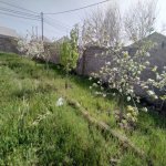 Satılır Torpaq, Binə qəs., Xəzər rayonu 6