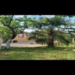 Kirayə (günlük) 3 otaqlı Həyət evi/villa İsmayıllı 17