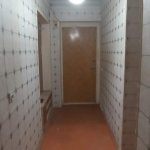 Kirayə (aylıq) 2 otaqlı Köhnə Tikili Sumqayıt 4