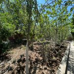 Satılır 7 otaqlı Həyət evi/villa, Qobu, Abşeron rayonu 27