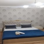 Kirayə (aylıq) 3 otaqlı Həyət evi/villa Qəbələ 11