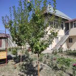 Kirayə (günlük) 4 otaqlı Həyət evi/villa Şəki 1