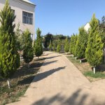 Kirayə (aylıq) 5 otaqlı Bağ evi, Novxanı, Abşeron rayonu 21
