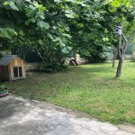 Kirayə (günlük) 2 otaqlı Həyət evi/villa Qəbələ 20