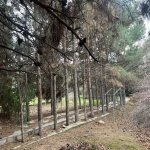 Satılır Torpaq, Bilgəh qəs., Sabunçu rayonu 10