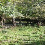 Продажа Участок Гябяля 1