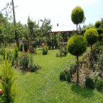 Kirayə (günlük) 4 otaqlı Bağ evi Qax 13