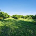 Satılır Torpaq Qəbələ 13