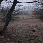 Satılır Torpaq Xızı 12