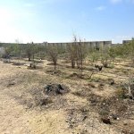 Satılır Torpaq, Hövsan qəs., Suraxanı rayonu 21