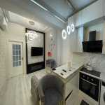 Аренда 3 комнатная Новостройка, м. Гянджлик метро, Медицинский Университет, Насими район 19