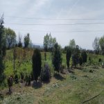 Продажа Участок Хачмаз 43