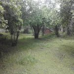 Satılır Torpaq Qəbələ 3