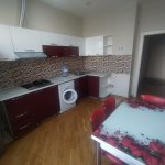 Kirayə (aylıq) 2 otaqlı Yeni Tikili, Nəriman Nərimanov metrosu, Montin qəs., Nərimanov rayonu 11