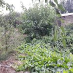 Satılır Torpaq, Rəsulzadə qəs., Binəqədi rayonu 5