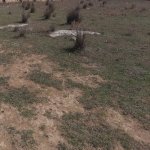 Satılır Torpaq, Masazır, Abşeron rayonu 1