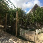 Kirayə (aylıq) 6 otaqlı Bağ evi, Novxanı, Abşeron rayonu 18
