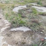 Satılır Torpaq, Digah, Abşeron rayonu 5