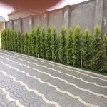 Satılır 8 otaqlı Bağ evi, Koroğlu metrosu, Mərdəkan, Xəzər rayonu 40