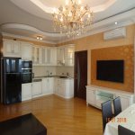 Продажа 3 комнатная Новостройка, м. 20 Января метро, Ясамал район 14