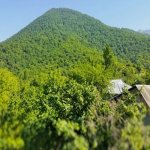 Satılır 5 otaqlı Həyət evi/villa Qəbələ 2