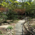 Продажа 3 комнатная Вторичка, пос. Йени Гюняшли, Сураханы район 2