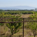 Satılır 2 otaqlı Bağ evi Xaçmaz 16