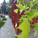 Kirayə (aylıq) Obyekt, Buzovna, Xəzər rayonu 10