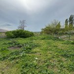 Satılır Torpaq İsmayıllı 3