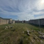 Satılır Torpaq, Xəzər rayonu 6