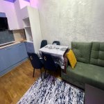 Kirayə (aylıq) 2 otaqlı Yeni Tikili, Avtovağzal metrosu, Biləcəri qəs., Binəqədi rayonu 3