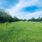 Продажа Участок Гябяля 8