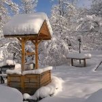 Kirayə (günlük) 3 otaqlı Həyət evi/villa Zaqatala 10