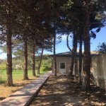 Satılır Torpaq, Novxanı, Abşeron rayonu 6