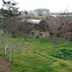 Satılır Torpaq Sumqayıt 9