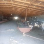 Продажа Объект Хызы 6