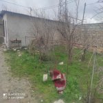 Satılır Torpaq, Azadlıq metrosu, Binəqədi qəs., Binəqədi rayonu 9