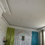 Satılır 13 otaqlı Həyət evi/villa, Gənclik metrosu, Nərimanov rayonu 9